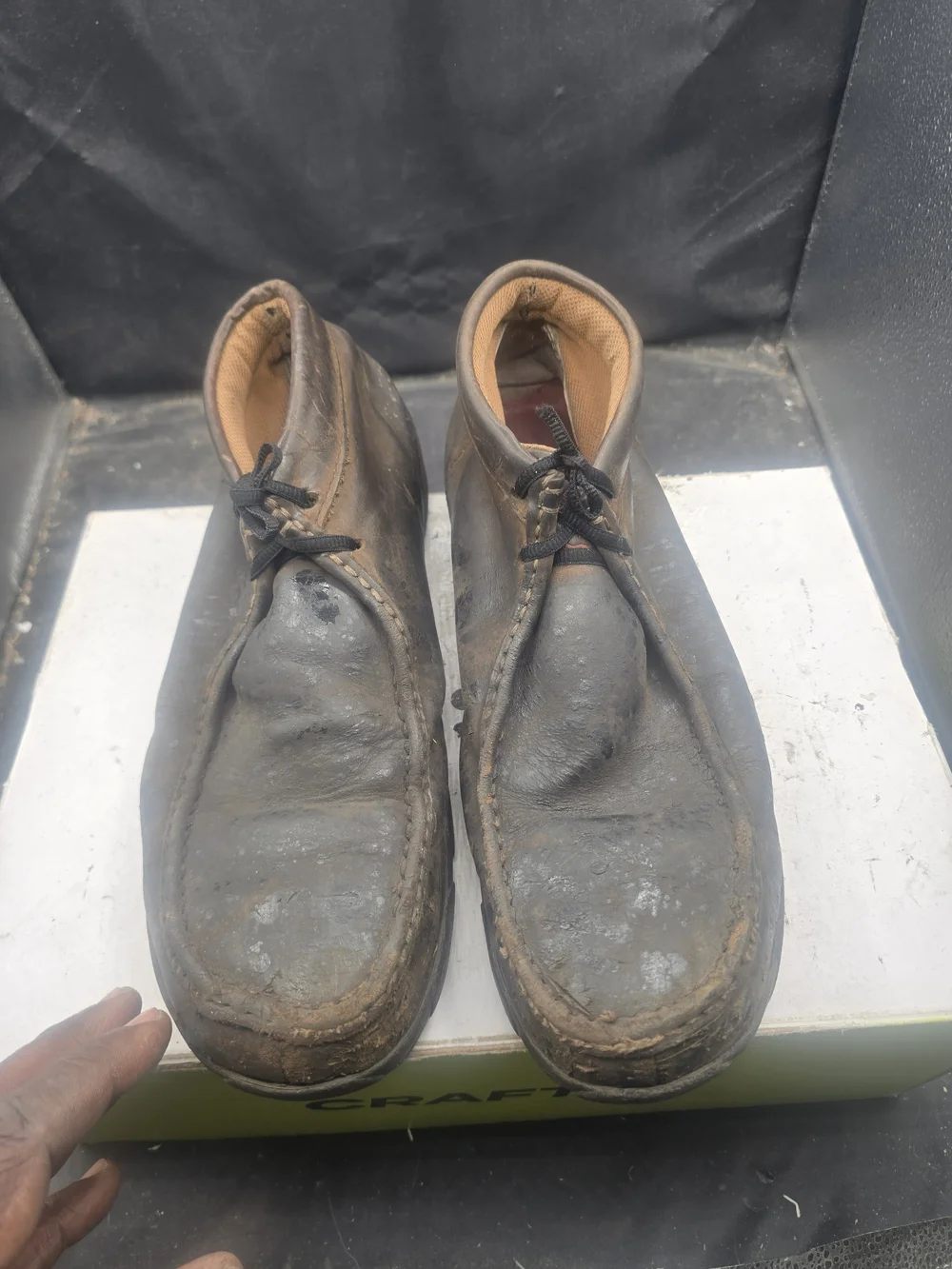 Twisted X Men's Dark Brown Chukka Boots
